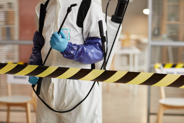 Professional Hoarding Cleanup technician working in Naper, NE
